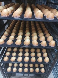 quí iría descripción