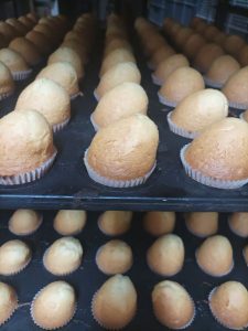 quí iría descripción